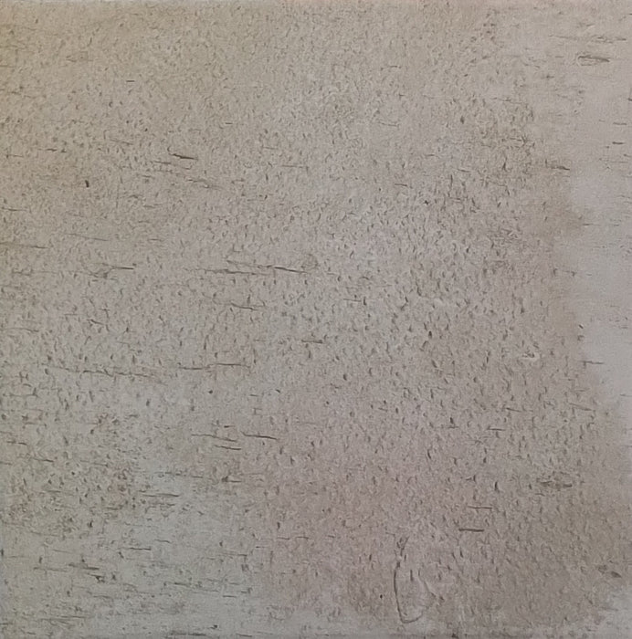 Leaves fantasy beige plain 250x250x10mm matt porcelain