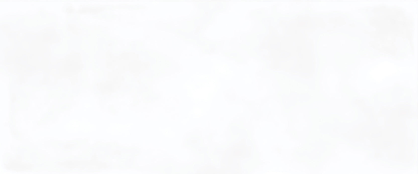 Portofino Blanco White Ceramic Tiles 25x60cm