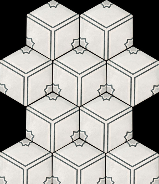 Florence Black Hexagon porcelain 210x250x10mm