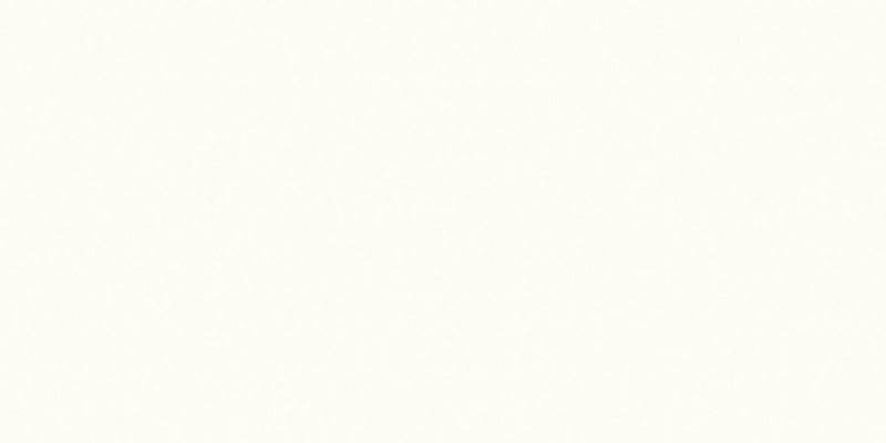 Alba Luxe White Matt Ceramic tiles plane and decor cut sample