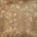 Tierra Artesana terracotta effect pattern tiles