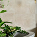 Ferrano Frost Oxide Metal Effect Wall & Floor Tiles
