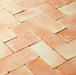 Casa verde Handmade Terracotta 15x30 cut sample TILEJOB.CO.UK