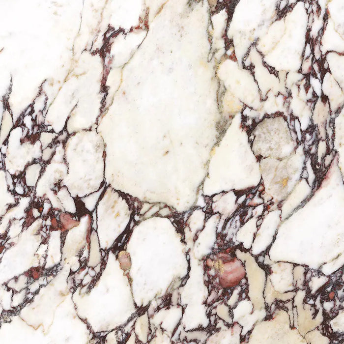 Calacatta Viola Novel Matte Porcelain Porcelain Tiles