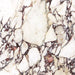 Calacatta Viola Novel Matte Porcelain Porcelain Tiles