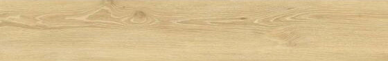 Kinabalu Light Oak Matt Glazed Porcelain cut sample