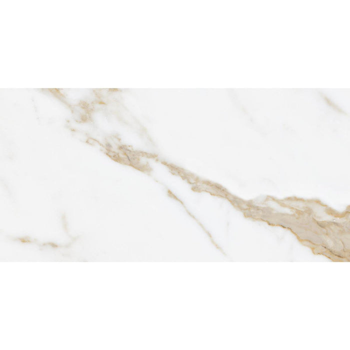 Marble Calacatta Gold Cut sample